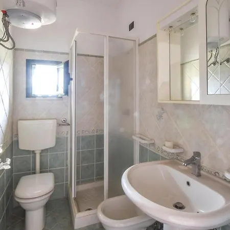 公寓 Pet Friendly Apartment *